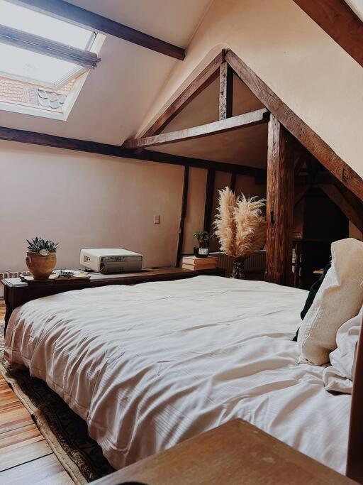 Romantic Unesco Medieval House In The City Center Gent Eksteriør bilde